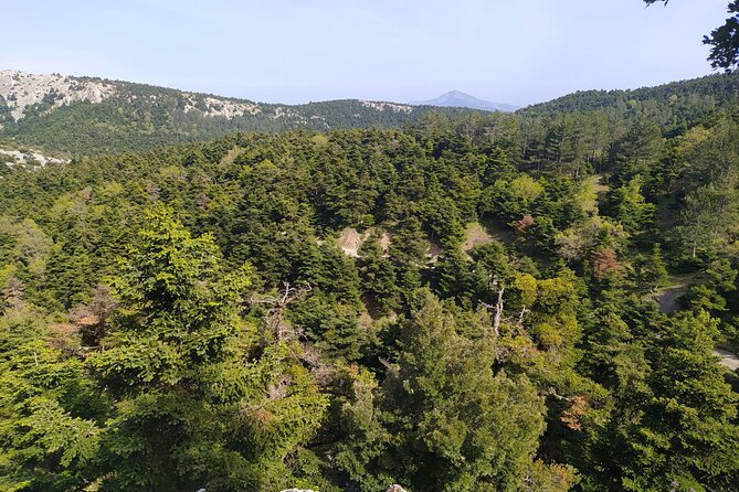 1 Day Parnitha Athens Private Hiking Tour with Hotel Pickup - Key Things You’ll Notice on This Parnitha Hike
