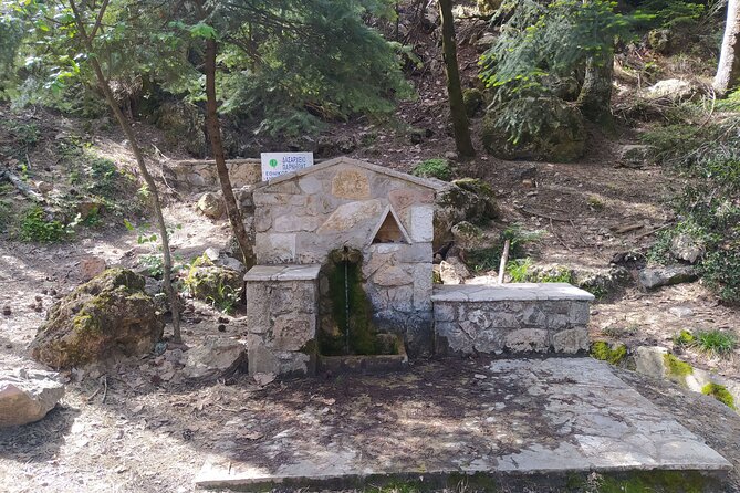 1 Day Parnitha Athens Private Hiking Tour with Hotel Pickup - Leaving Athens for Parnitha, Without Wasting Time
