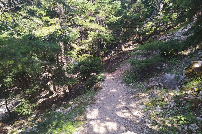 1 Day Parnitha Athens Private Hiking Tour with Hotel Pickup - Timing, Fitness Level, and How the Day Actually Feels
