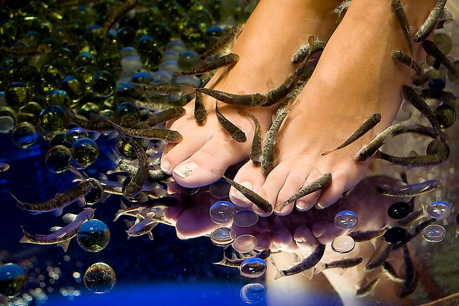 1-Hour Aroma Oil Massage plus 20-Minute Free Fish Pedi - Inside a Spa Called Fish Spa Massage & Hammam