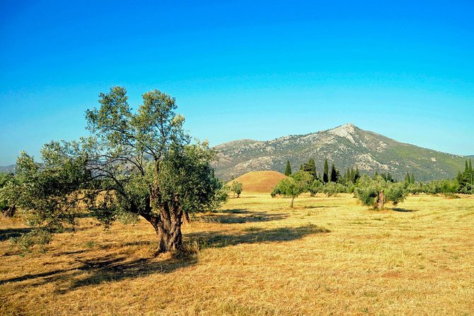 2 Days Herodotus Tour - Marathon, Thermopylae, Delphi, Thebes, Plataea, Salamis - Thebes museum, then Plataea battle geography you can picture