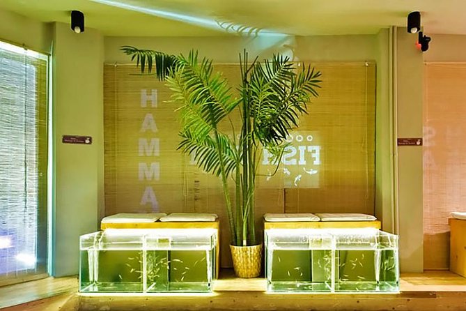20-Minutes Natural Pedicure with Exotic Fish - Key Highlights You’ll Actually Care About