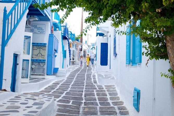 3 Day Private Tour in Santorini & Mykonos at the Best of Cyclades - Mykonos afternoon: choose between free wandering and a farm tasting day