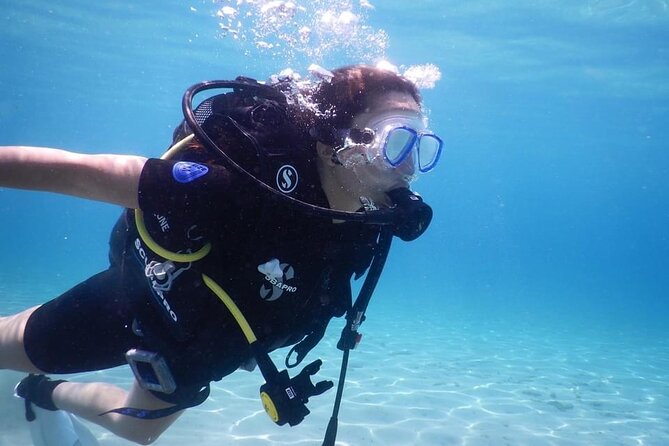 3 Hour Private Scuba Diving Experience - Weather, Timing, and the Safety Reality