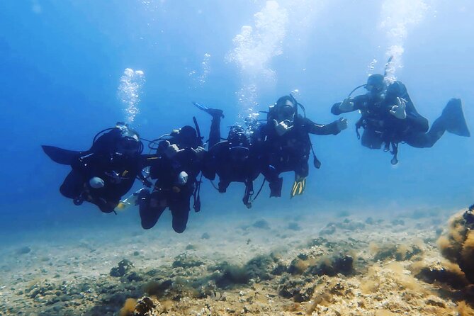 3 Hour Private Scuba Diving Experience - First Gear Check: What Happens Before You Ever Go In
