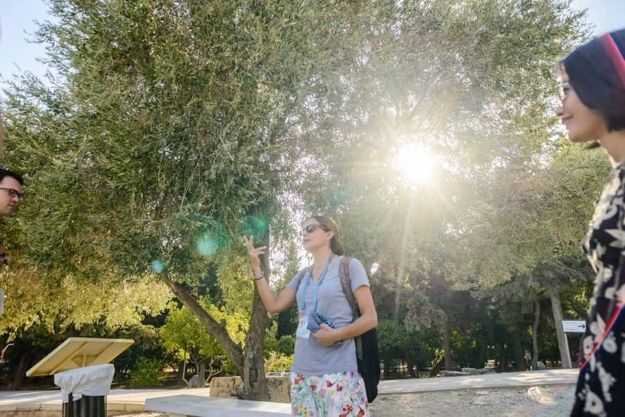 Acropolis: Acropolis and Parthenon Guided Walking Tour - Quick hit points before you go