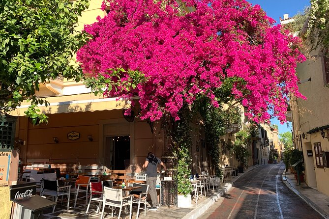 Acropolis & Plaka Neighbourhood Private Tour with Licensed Expert - The Acropolis walk that turns monuments into stories