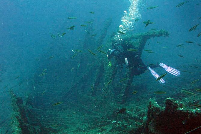 Adventure Dives for Certified Divers in Nea Makri, Athens - Meeting at Frinis 20 in Nea Makri, then heading to Marathon Beach