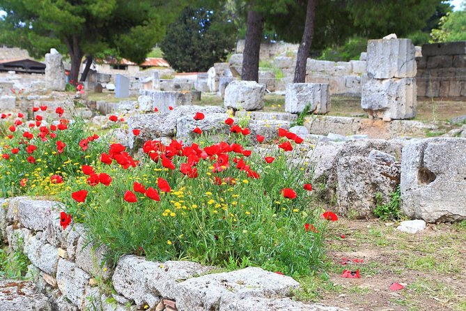 Ancient Corinth & Nafplion One-Day Tour from Athens - The bus route on Iera Odos, Sacred Way