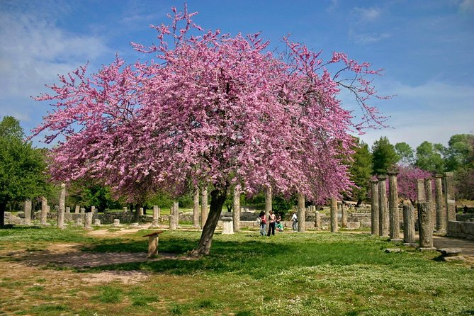 Ancient Olympia/ Ancient Corinth private tour from Athens/ Nafplio (up 12 hours) - Price and value: what $336.43 covers, and what it does not