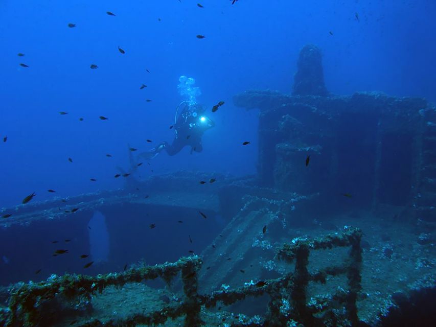 Athens: Adventure Dives in Nea Makri for Certified Divers - Key highlights worth caring about