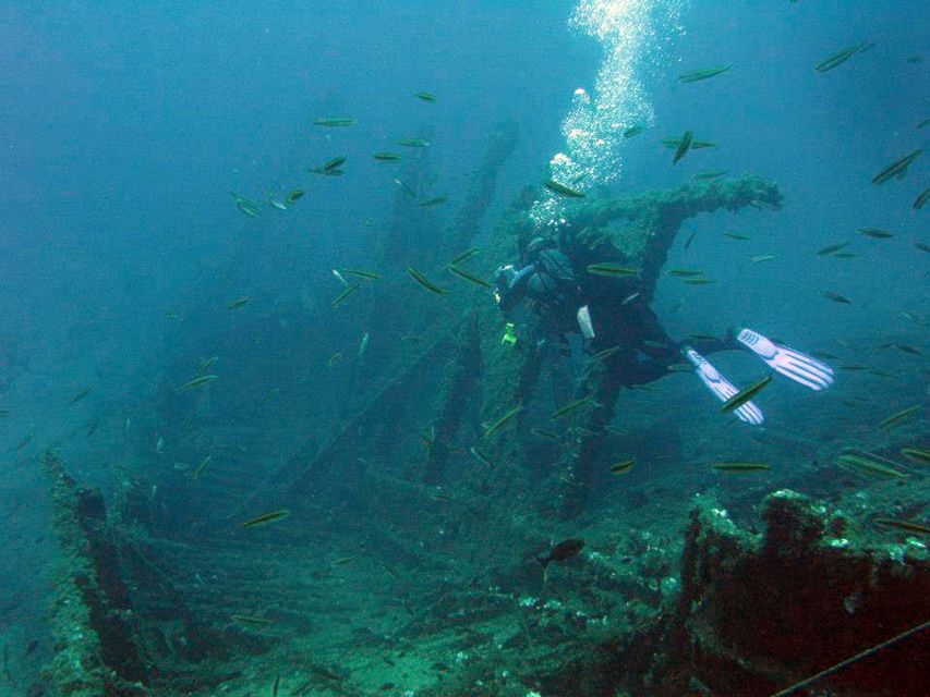 Athens: Adventure Dives in Nea Makri for Certified Divers - Water, visibility, and marine life expectations (without overpromising)