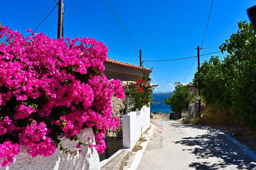 Athens: Agistri, Metopi & Aegina Cruise with Meals & Drinks - Getting There: Optional Pickup and the Marina Zeas Start