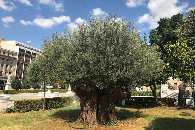 Athens by E-Bike: Monuments, Food & Transfers (Cruise Tour) - Neoclassical exhibition center and the first modern Olympics link