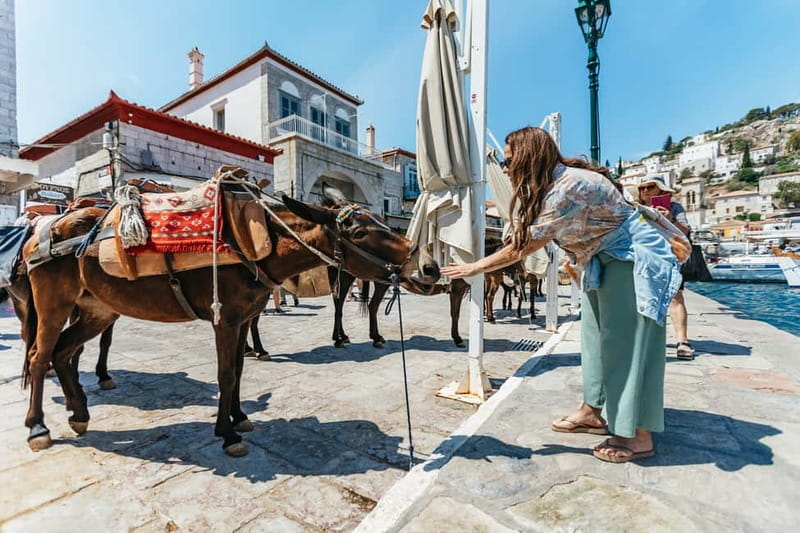 Athens Day Cruise – Since 1965 | Visit Hydra, Poros & Aegina - Getting Started at Faliro: What the 11 Hours Actually Look Like