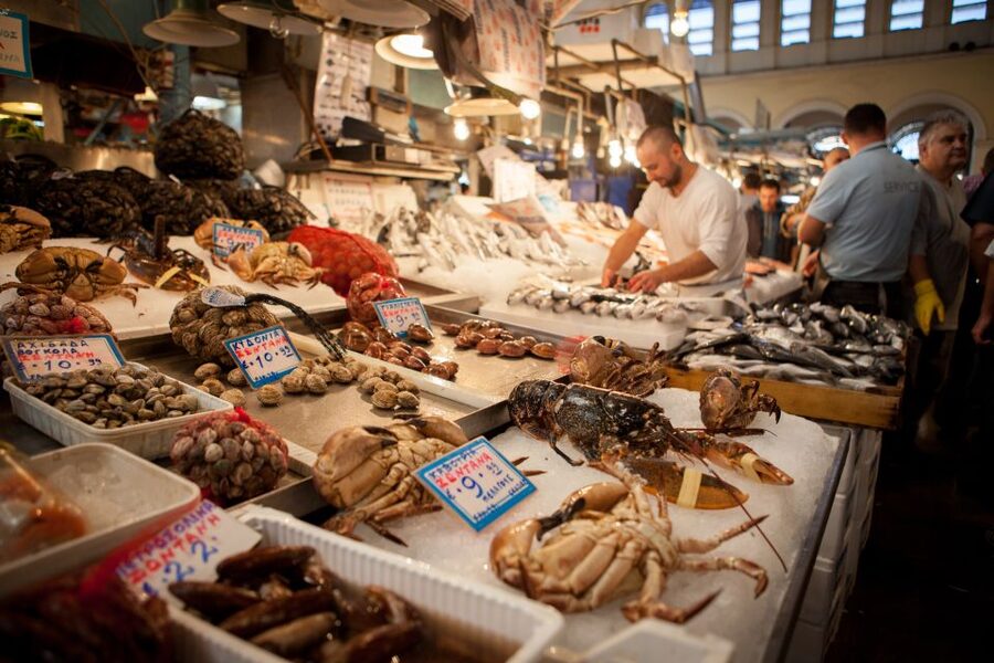 Athens: Greek Food Discovery Small Group Walking Tour - Meeting in Syntagma, Then Getting Your Bearings Fast