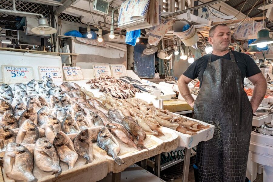 Athens: Greek Foodie Tour with Tastings - Who should book, and who might want a different plan