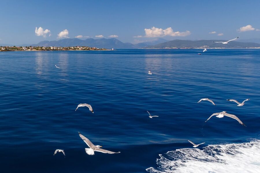 Athens: Guided Day Trip to Aegina Island with Swimming - Beach time in the Saronic Gulf, plus how to enjoy it without rushing