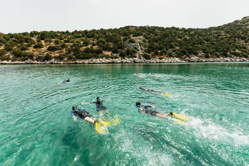 Athens: Marathon Cape and Bay of Schinias Snorkeling Trip - What Makes Dimitri’s Style So Effective