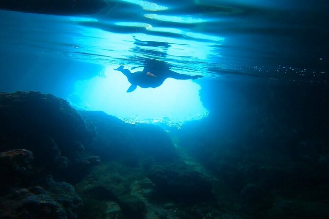 Athens, Nea Makri: Guided Small Group Snorkeling Boat Excursion - What the guide actually does: gear help, patience, and sea-life spotting