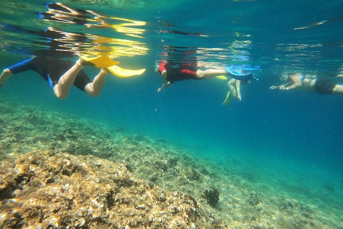 Athens, Nea Makri: Guided Small Group Snorkeling Boat Excursion - Price and value: does $102.80 hold up for what you get?