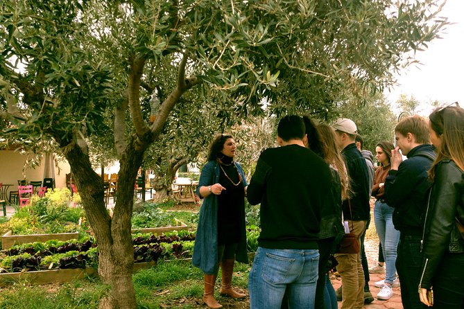 ATHENS OLIVE ESTATE - Olive Oil Workshop with Farm-to-Fork Lunch - Optional add-ons near Sounion you can request