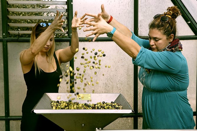 ATHENS OLIVE ESTATE - Olive Oil Workshop with Farm-to-Fork Lunch - Who should book Athens Olive Estate, and who should think twice