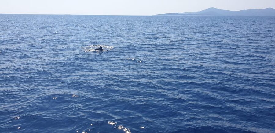 Athens: Riviera Catamaran Tour with Fresh Meal and Drinks - The Second Stop Around Voula: More Water Play, More Freedom