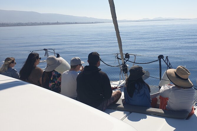 Athens Riviera Catamaran tour with fresh Meal Drinks and Swimming - Key Highlights to Know Before You Go
