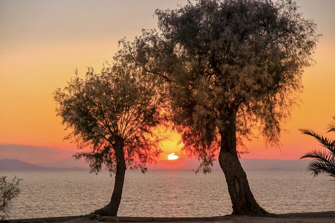 Athens Riviera: Poseidon Temple, Springs & Lake Vouliagmeni Tour - Price and value: what $113.18 gets you, plus the extras