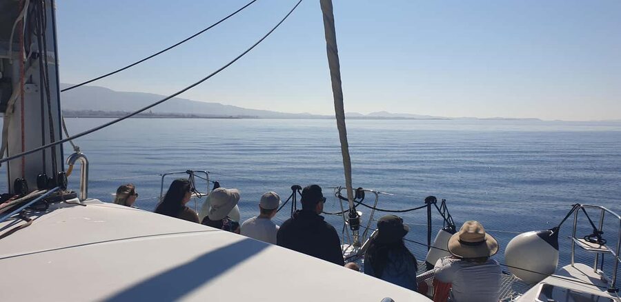 Athens Riviera Private Catamaran Cruise with Meal and Drinks - Price And Value For Groups Up To 15