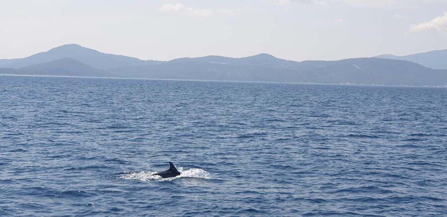 Athens Riviera Private Catamaran Cruise with Meal and Drinks - Pier 7 To Marina Alimos: The Start That Sets the Mood