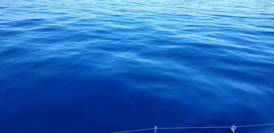 Athens Riviera Private Catamaran Cruise with Meal and Drinks - Gear And Comfort: What To Bring For A Real Sea Day