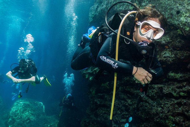 Athens Scuba Diving Experience for Certified Divers with Pickup - Price and value: what $219.28 buys you in real terms