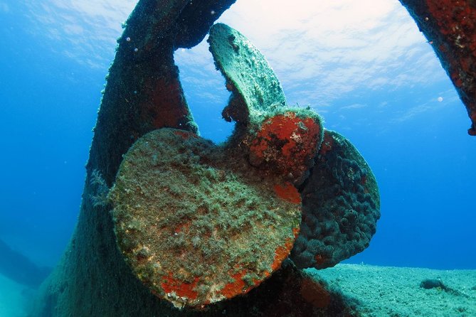 Athens Scuba Diving Experience for Certified Divers with Pickup - Your morning flow: pickup, gear prep, and a real briefing