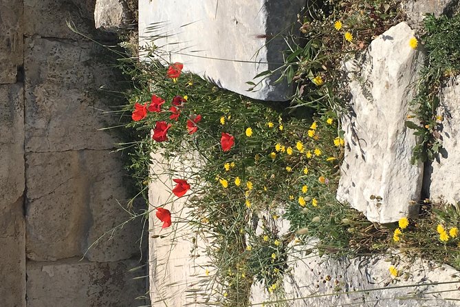 Athens Shore Excursion: Private City Sightseeing and Acropolis Tour - Modern Athens Along the Way: Syntagma Square and Evzones