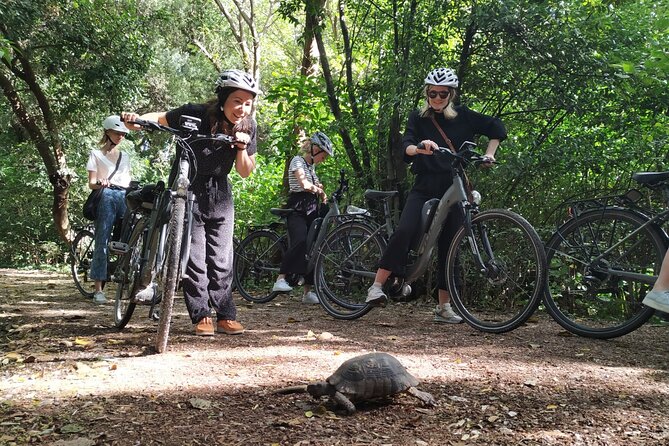 Athens Small Group Electric Bike Tour - Thissio and the edges of Athens’ ancient world