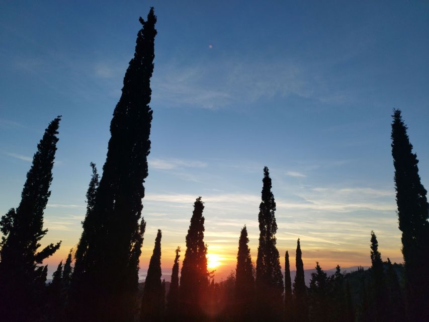 Athens Sunset Hike - The hike itself: pine paths, the Crazy Mountain climb, and pace that works
