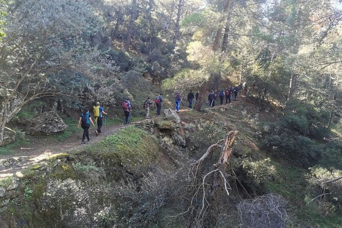 Athens Sunset Hymettus Mountain Hike - Plants, legends, and the history you do not get from a bus ride