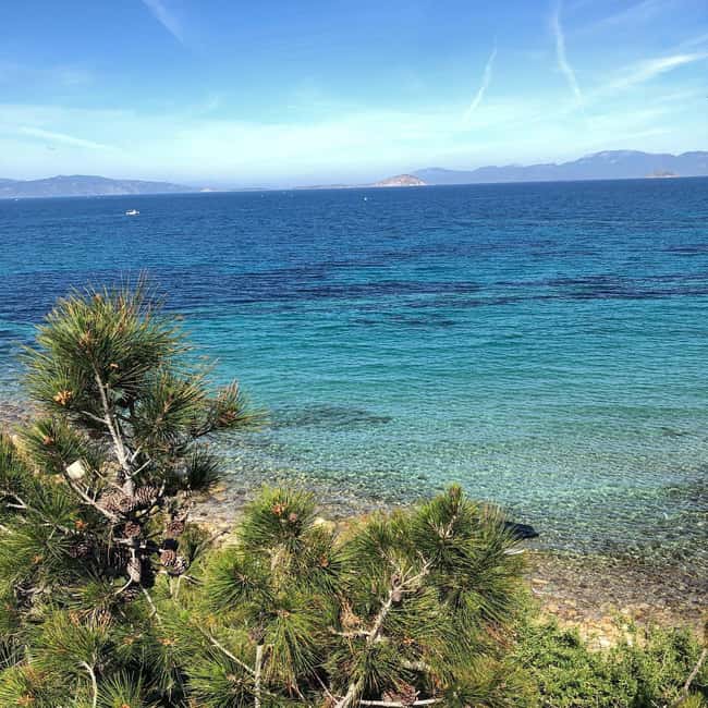 Athens to Aegina: Greek Island Escape & Swim Day Trip - Agia Marina beach time: when your schedule finally lets you exhale