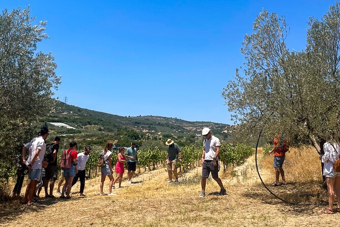 Athens to Nemea Wine Experience Tour - Stop 1: Corinth by way of the Isthmus, no quick photo break