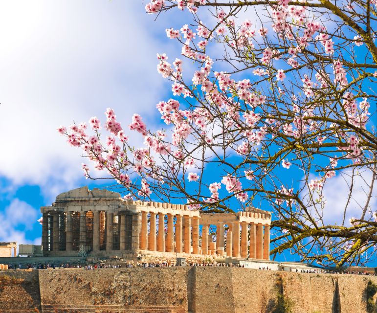 Athens: Top Sights Private Half-Day Tour - Acropolis and Parthenon: iconic views, planned for pacing