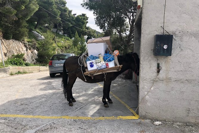 Athens West 4x4 Blue Lagoon Safari Adventure - Why the price can feel fair for what you get