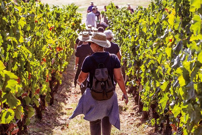 Athens Wine Tour - An Outstanding Full Day Experience For Dedicated Winelovers - Key highlights worth planning for