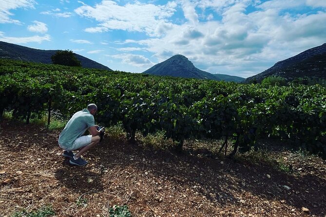 Athens Wine Tour with Wine Expert - Attica in Six Hours, Three Winery Stops That Don’t Drag