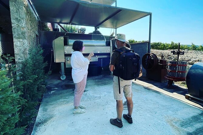 Athens Wine Tour with Wine Expert - Stop 1: Markou Vineyards, Facilities Tour Plus a 4-Wine Tasting