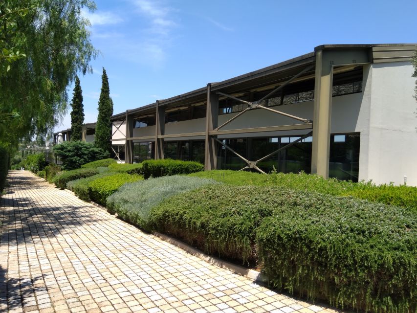 Athens Winery Tour - Key things that make this Athens Winery Tour worth your time