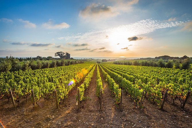Corinth and Nemea Wine-tasting full day tour from Athens - Ktima Palivou winery visit: Nemea wines and a real tasting setup