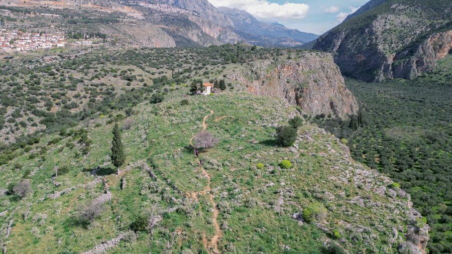 Delphi: Easy Hike on Ancient Path through the Olive Groves - Why this easy Delphi hike feels more local than typical tours