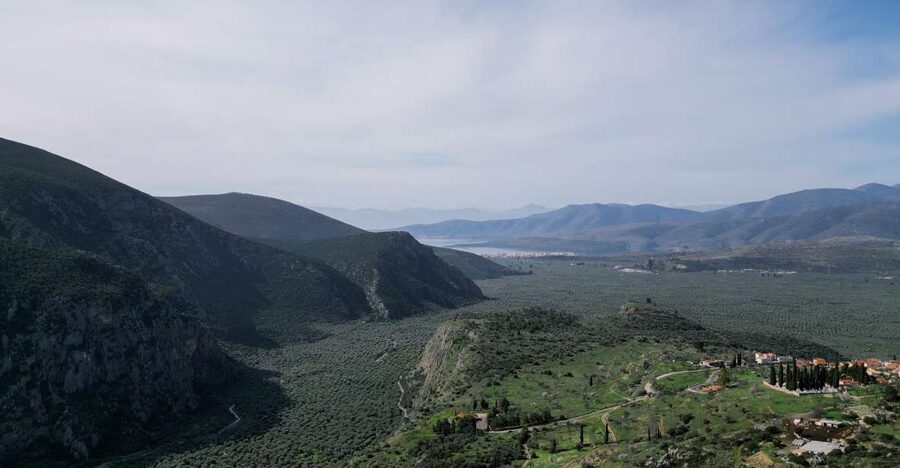 Delphi: Easy Hike on Ancient Path through the Olive Groves - Olive farming stories you will picture, not just hear